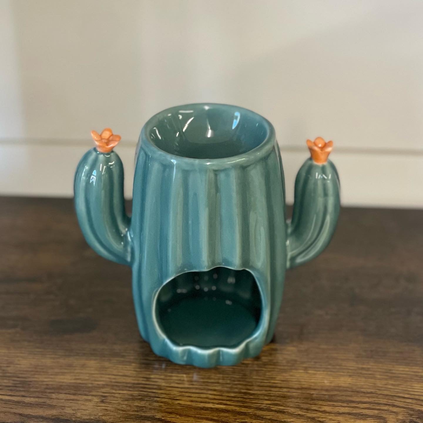 Cactus Warmer